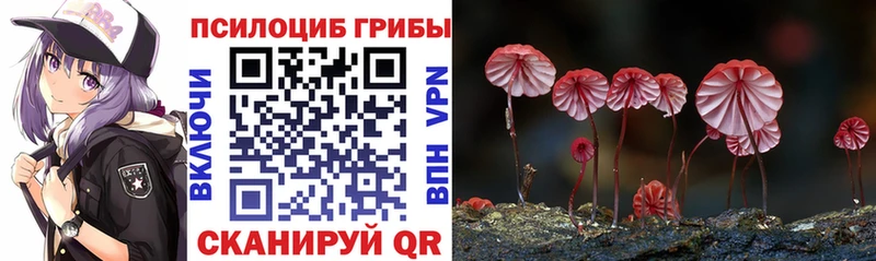 Псилоцибиновые грибы Magic Shrooms  Пучеж 
